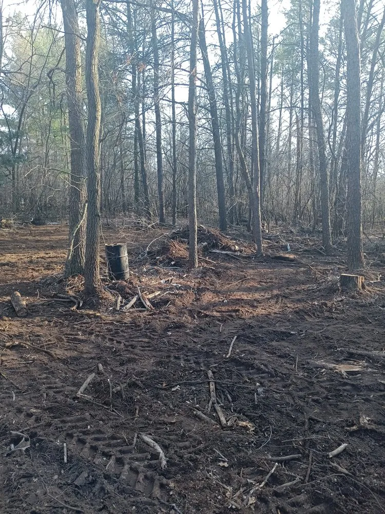 Reliable landscape installation experts serving Nekoosa, WI - AX Head Tree Service and Landscaping