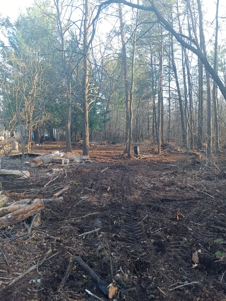 Trusted lawn care service in Nekoosa, WI by AX Head Tree Service and Landscaping