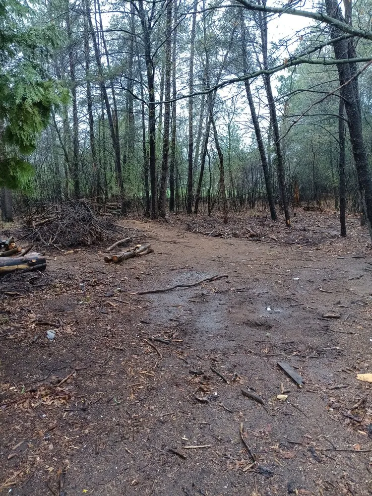 Local outdoor landscaping in Nekoosa, WI by AX Head Tree Service and Landscaping