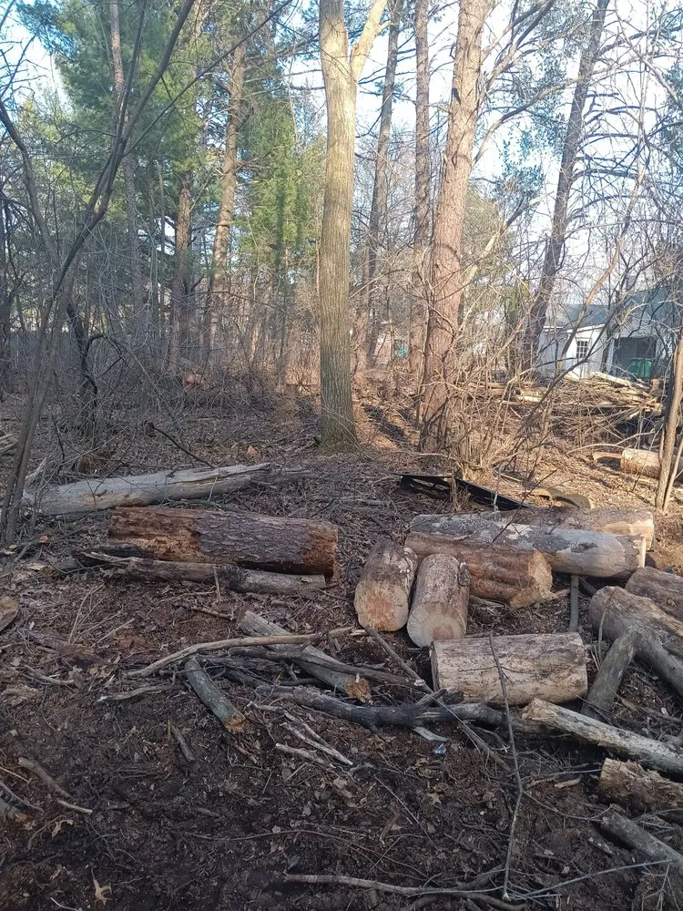 Top-rated garden landscaping for year-round maintenance in Nekoosa, WI by AX Head Tree Service and Landscaping