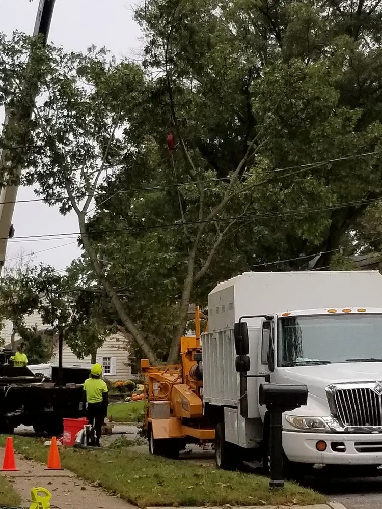 Affordable garden landscaping for outdoor upgrades across Deptford, NJ - Ax-It Tree Service & Landscaping