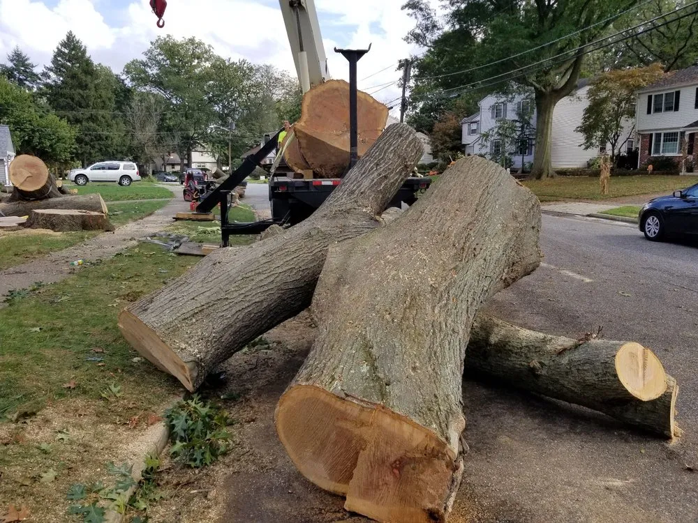 Expert garden landscaping for outdoor upgrades in Deptford, NJ by Ax-It Tree Service & Landscaping