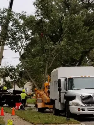 Ax-It Tree Service & Landscaping