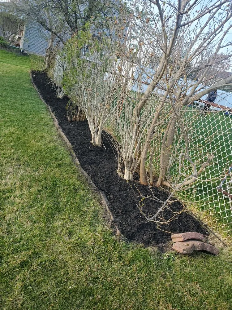 Affordable yard maintenance near you across Bridgeton, NJ - A&X Landscaping