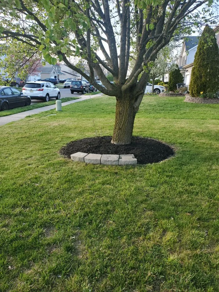 Reliable lawn care service in Bridgeton, NJ - A&X Landscaping