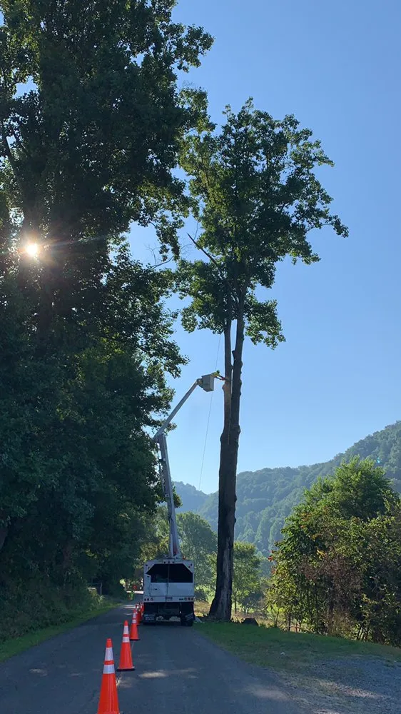 Professional landscape installation experts serving Falls Church, VA - Ax Tree Services