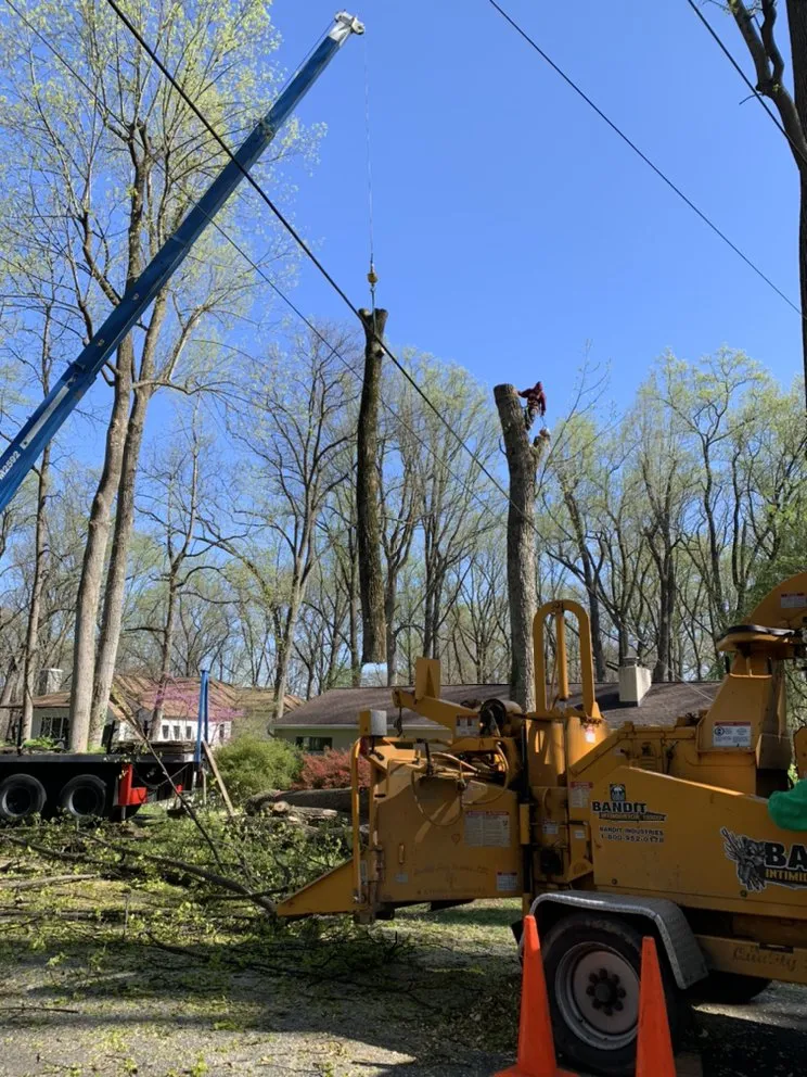 Top-rated lawn mowing service in Falls Church, VA - Ax Tree Services