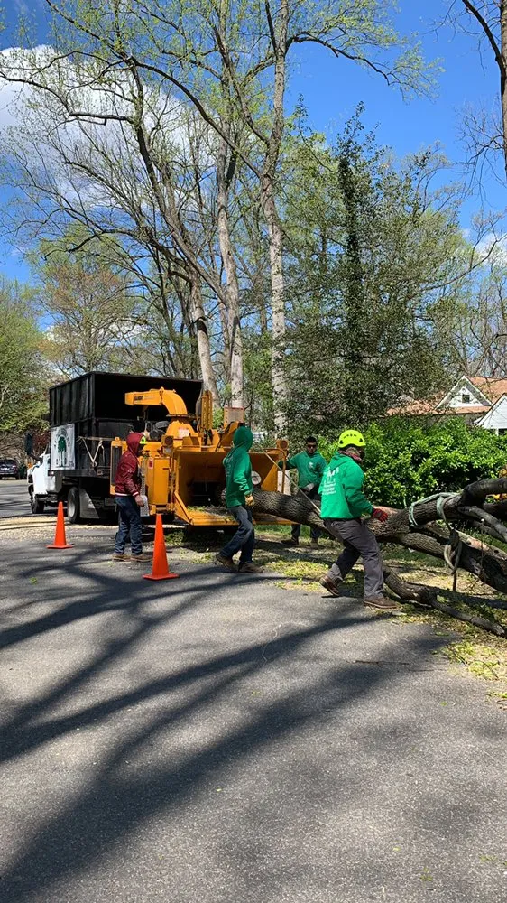 Trusted residential landscaping in Falls Church, VA - Ax Tree Services