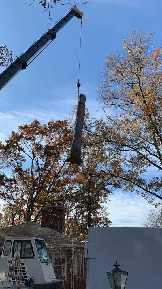 Trusted lawn mowing service experts serving Falls Church, VA - Ax Tree Services