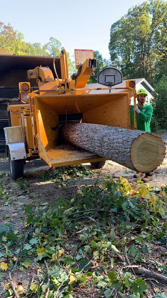 Reliable garden landscaping near you in Falls Church, VA by Ax Tree Services