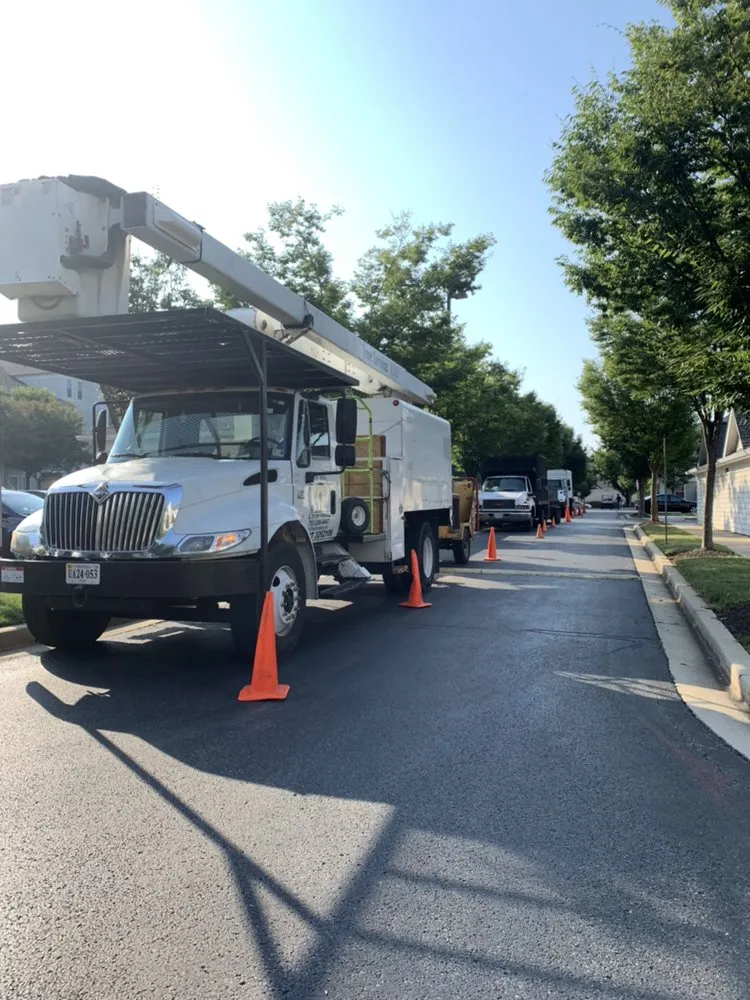 Trusted residential landscaping in Falls Church, VA - Ax Tree Services