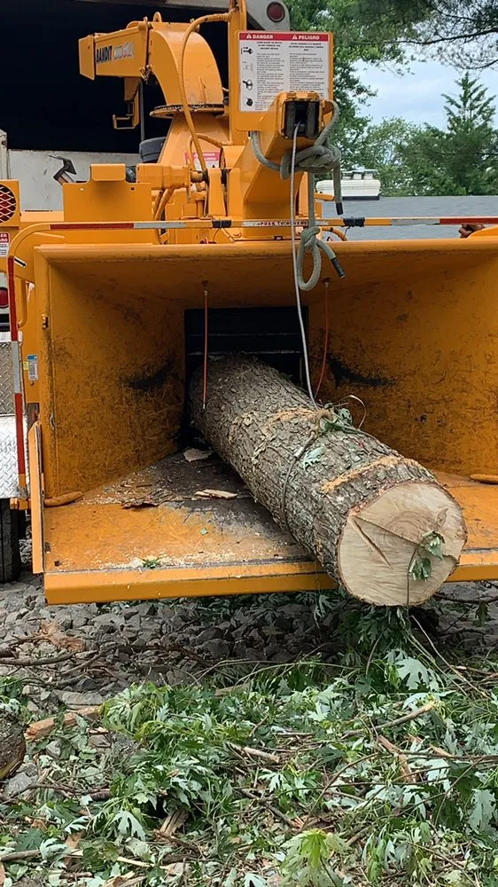 Trusted landscaping services in Falls Church, VA - Ax Tree Services