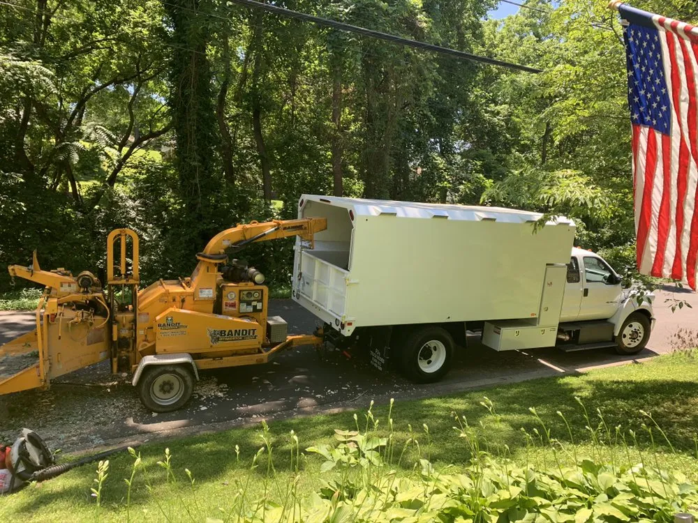 Expert residential landscaping for year-round maintenance across Falls Church, VA - Ax Tree Services