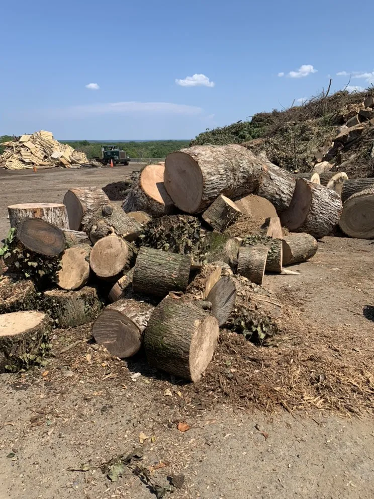 Trusted landscape design for homes across Falls Church, VA - Ax Tree Services