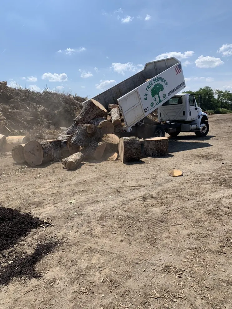 Expert yard cleanup service for beautiful yards across Falls Church, VA - Ax Tree Services