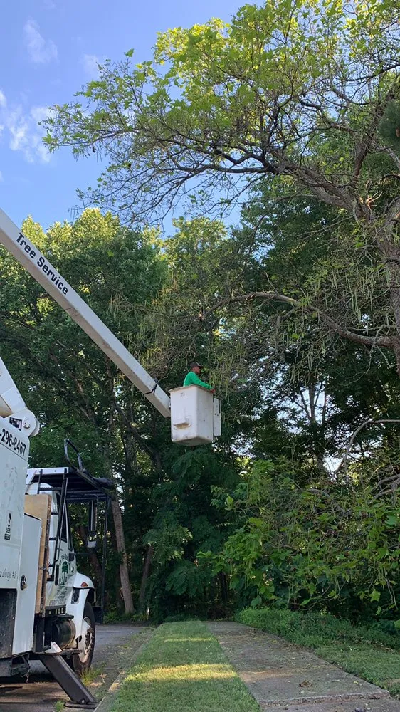 Custom garden landscaping experts serving Falls Church, VA - Ax Tree Services