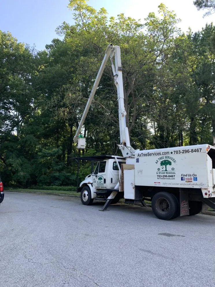 Custom lawn care service for residential properties in Falls Church, VA by Ax Tree Services