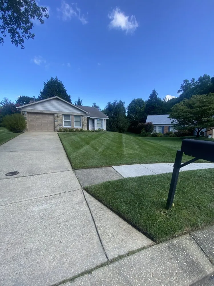 Expert yard cleanup service for beautiful yards in Annapolis, MD by AXC Landscaping Services