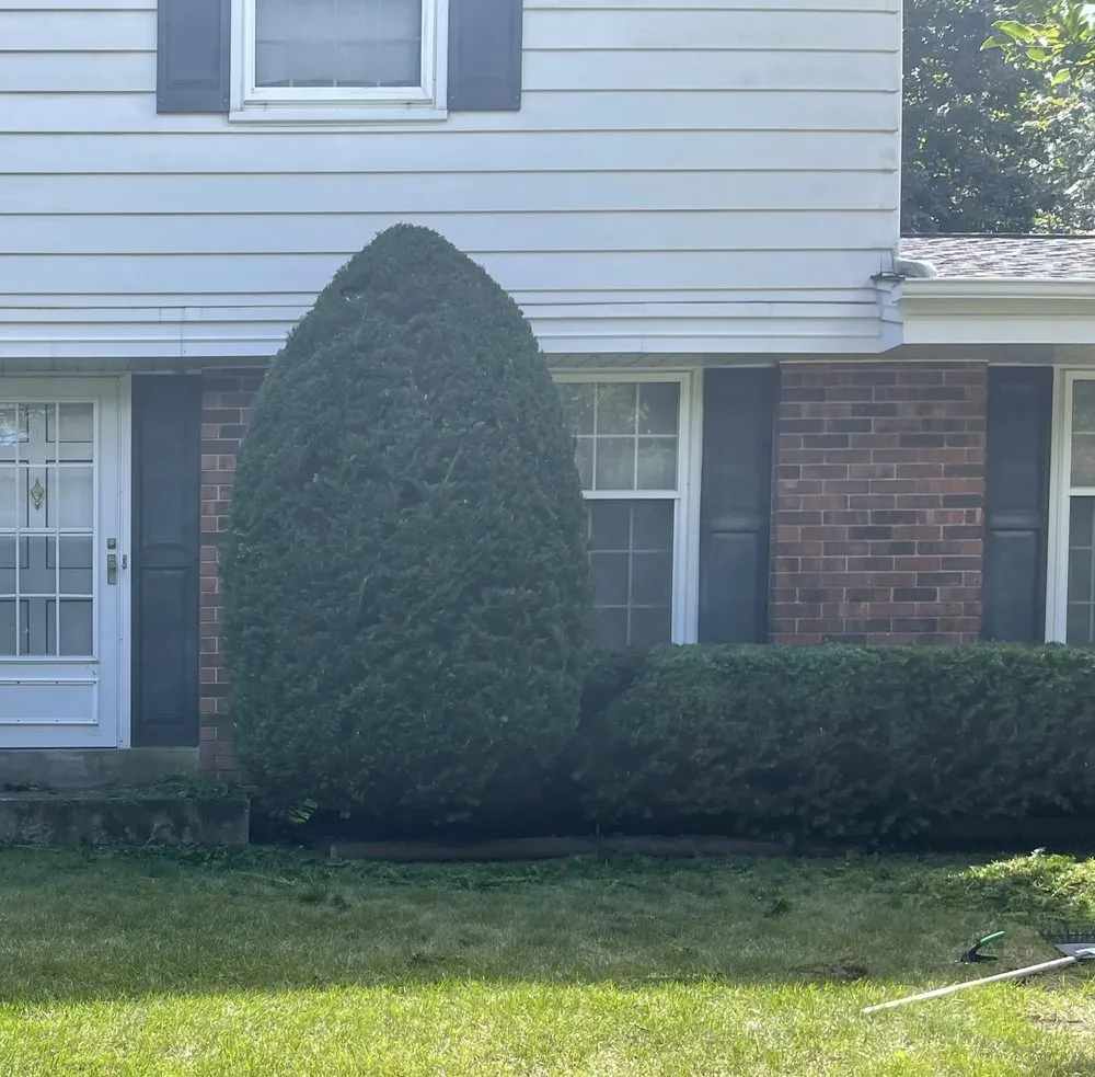 Top-rated landscape installation experts serving Big Bend, WI - Axcel Greenworks