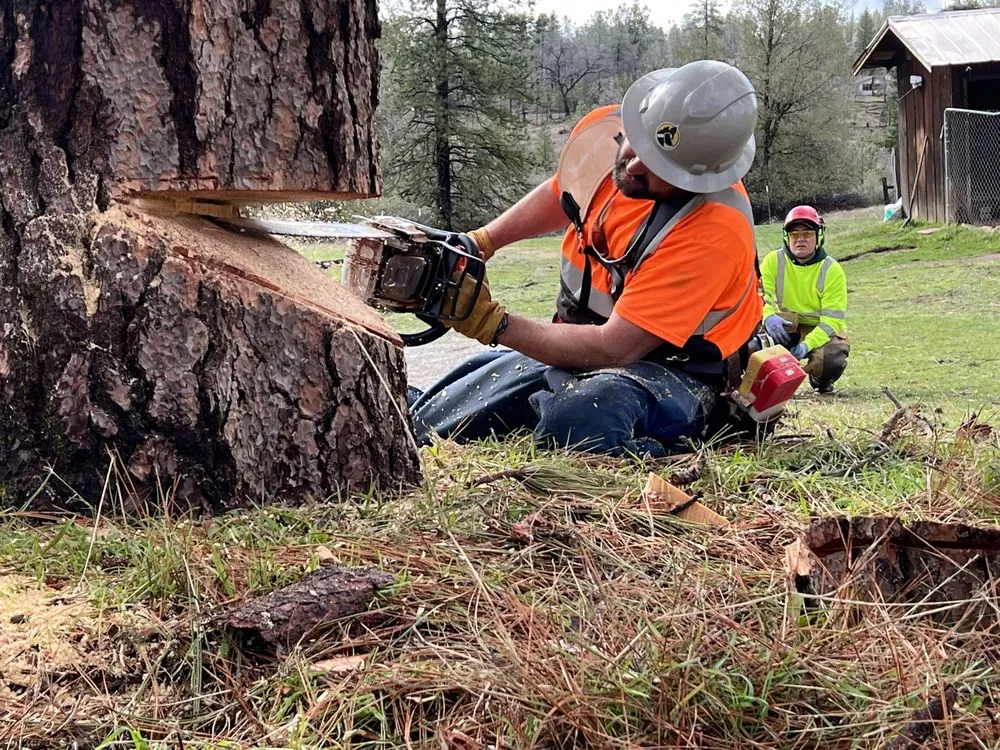 Expert landscape installation experts serving Mariposa, CA - Axe Works