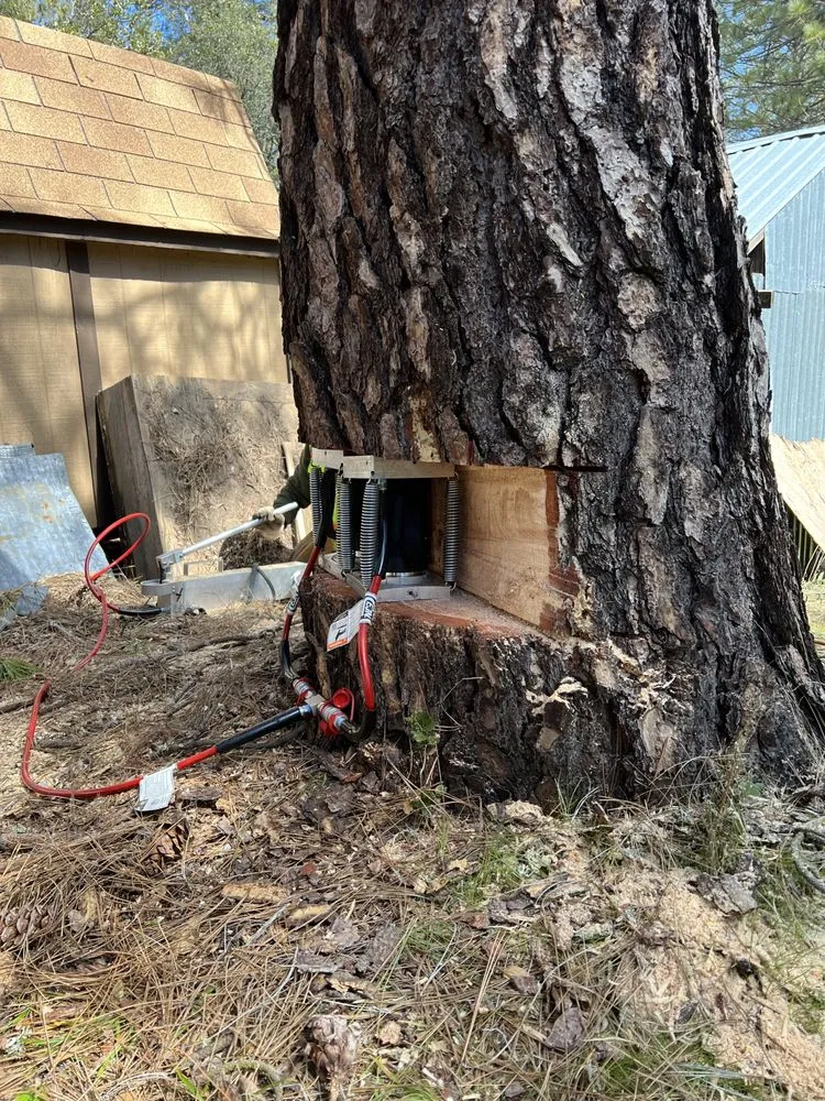 Affordable residential landscaping with custom design across Mariposa, CA - Axe Works