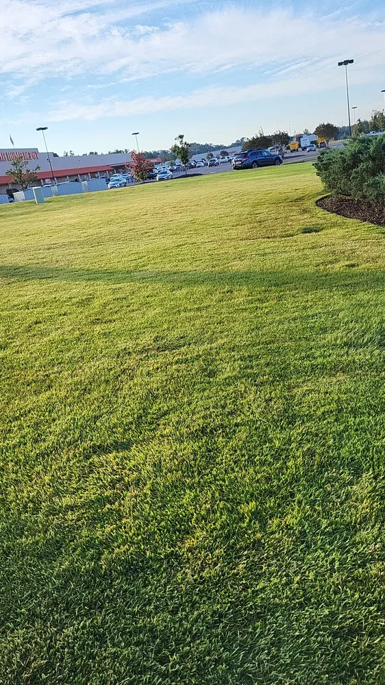 Custom landscape design experts serving Tuscaloosa, AL - Axel Lawn Care & Landscaping