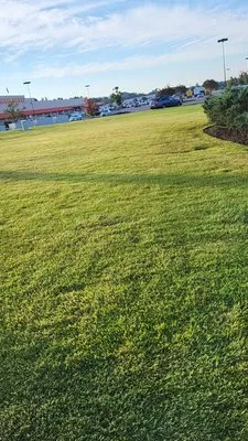 Axel Lawn Care & Landscaping Logo