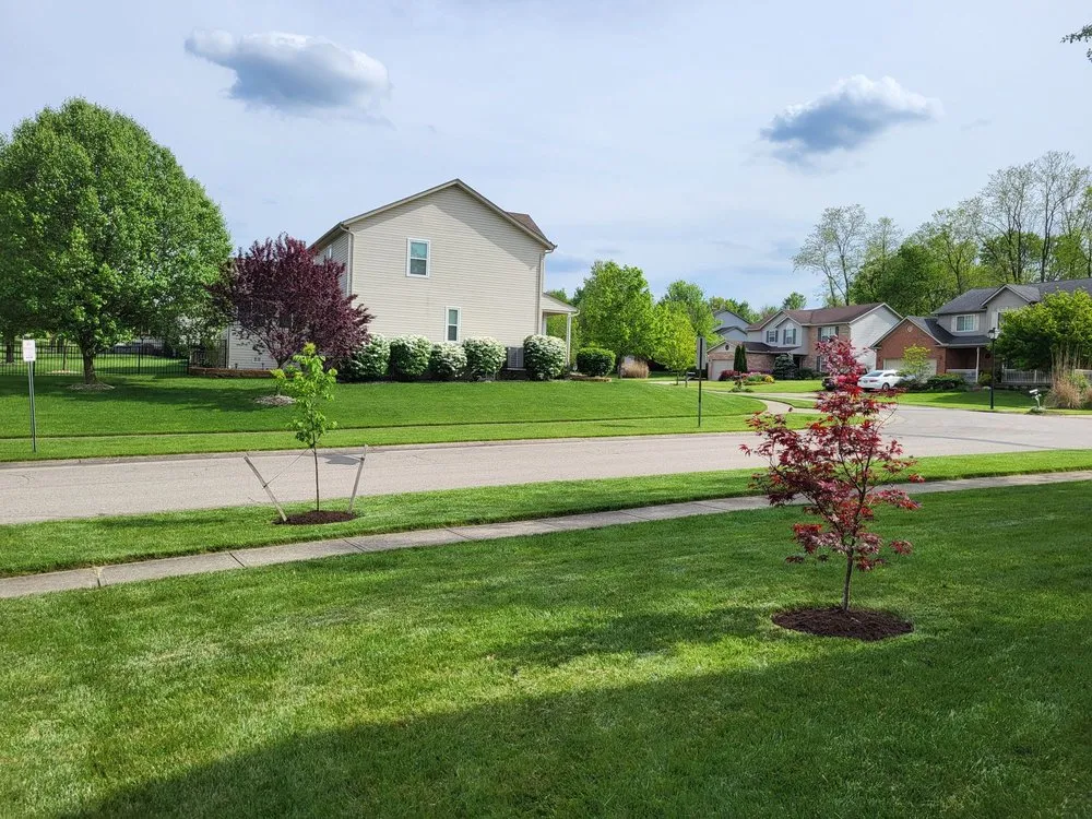 Custom yard cleanup service for outdoor upgrades across Maineville, OH - Axel Lawn Care
