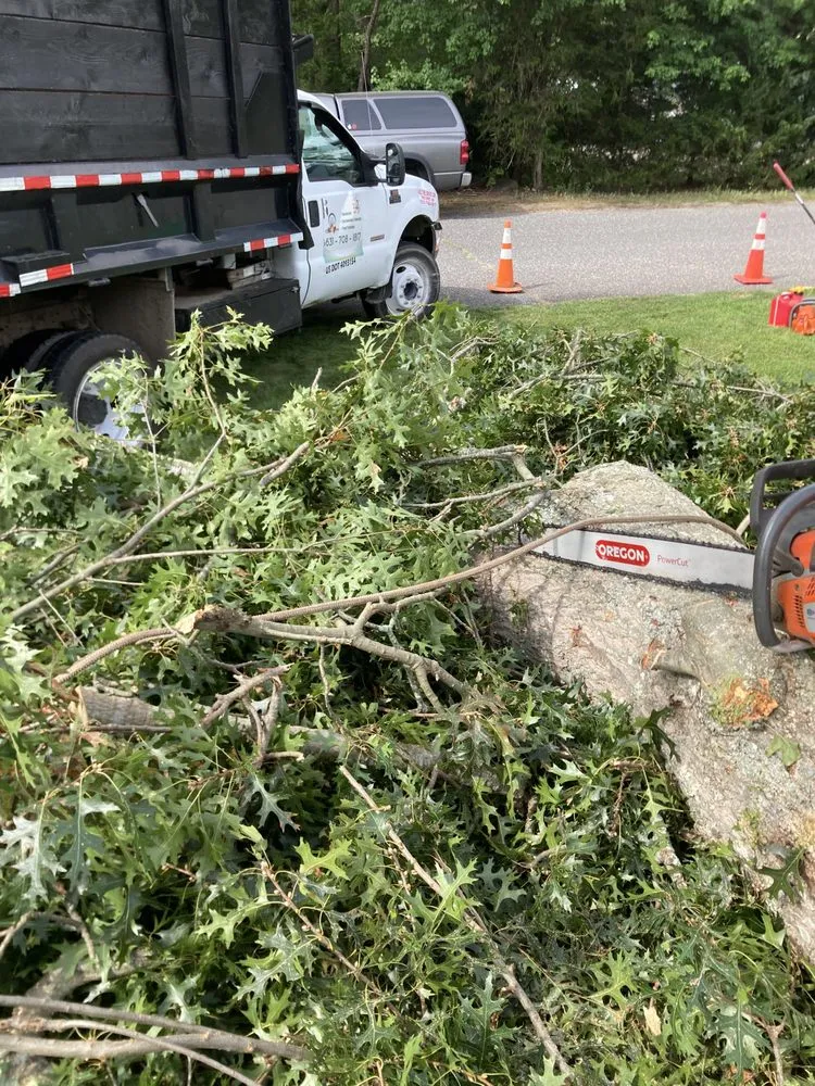 Affordable lawn mowing service in Mastic, NY - Axel Tree Trimming