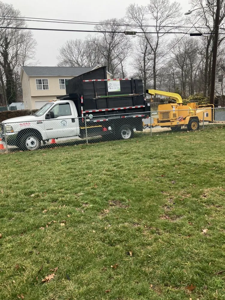 Professional landscaping services for outdoor upgrades across Mastic, NY - Axel Tree Trimming