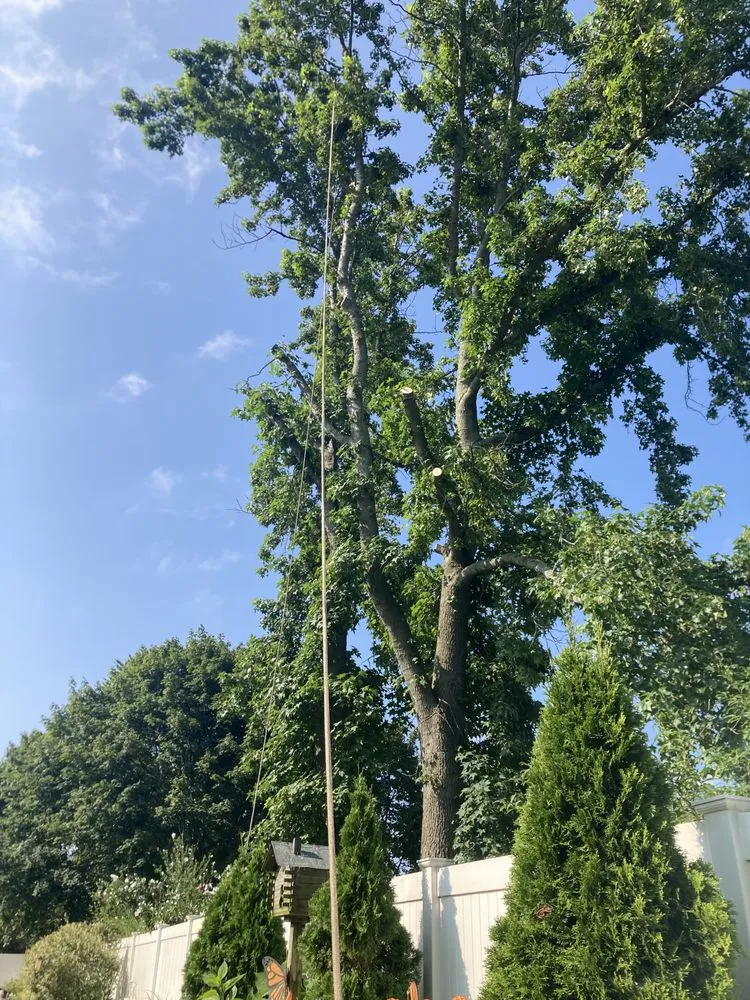 Professional residential landscaping in Mastic, NY by Axel Tree Trimming