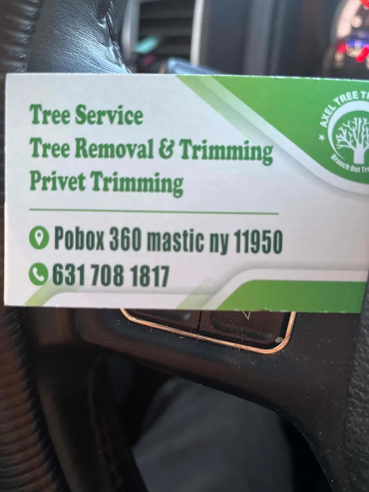 Professional landscaping services in Mastic, NY - Axel Tree Trimming