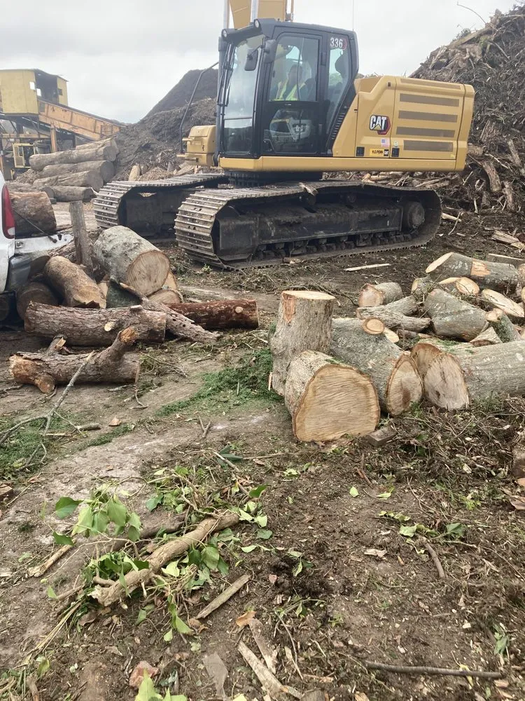 Top-rated landscape design in Mastic, NY - Axel Tree Trimming