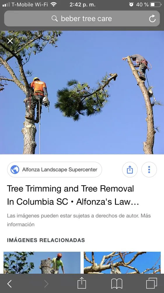 Local garden landscaping for year-round maintenance across Mastic, NY - Axel Tree Trimming