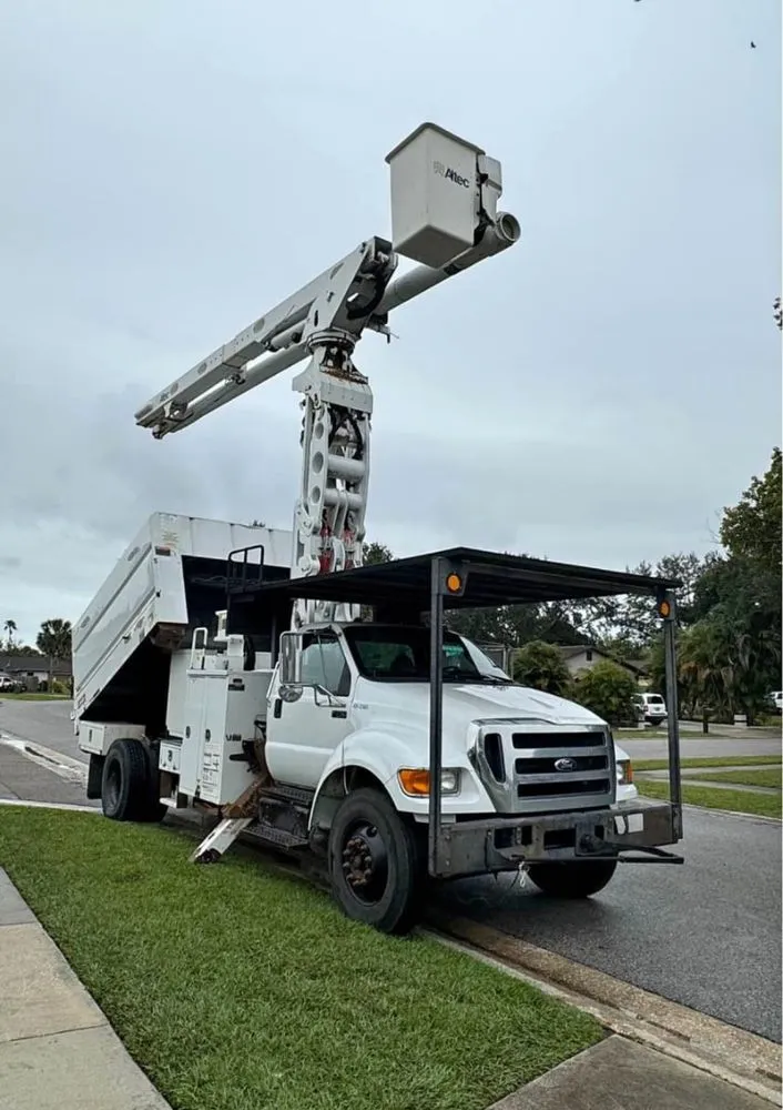 Reliable yard cleanup service in Mastic, NY - Axel Tree Trimming