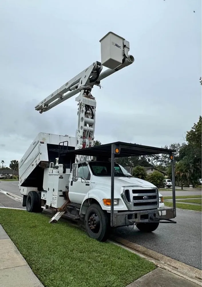 Local landscape installation for outdoor upgrades across Mastic, NY - Axel Tree Trimming