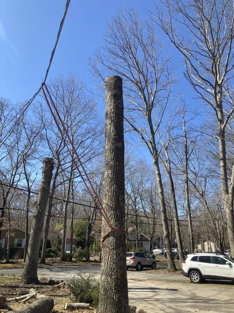 Affordable outdoor landscaping for outdoor upgrades across Mastic, NY - Axel Tree Trimming