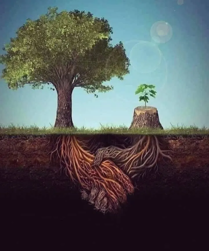 Top-rated landscaping services in Mastic, NY by Axel Tree Trimming