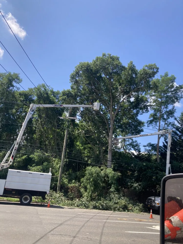 Trusted lawn mowing service experts serving Mastic, NY - Axel Tree Trimming