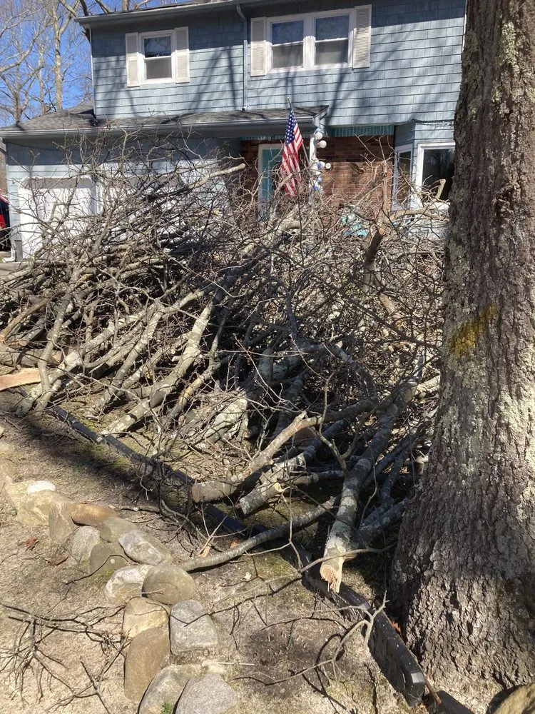 Reliable lawn mowing service experts serving Mastic, NY - Axel Tree Trimming