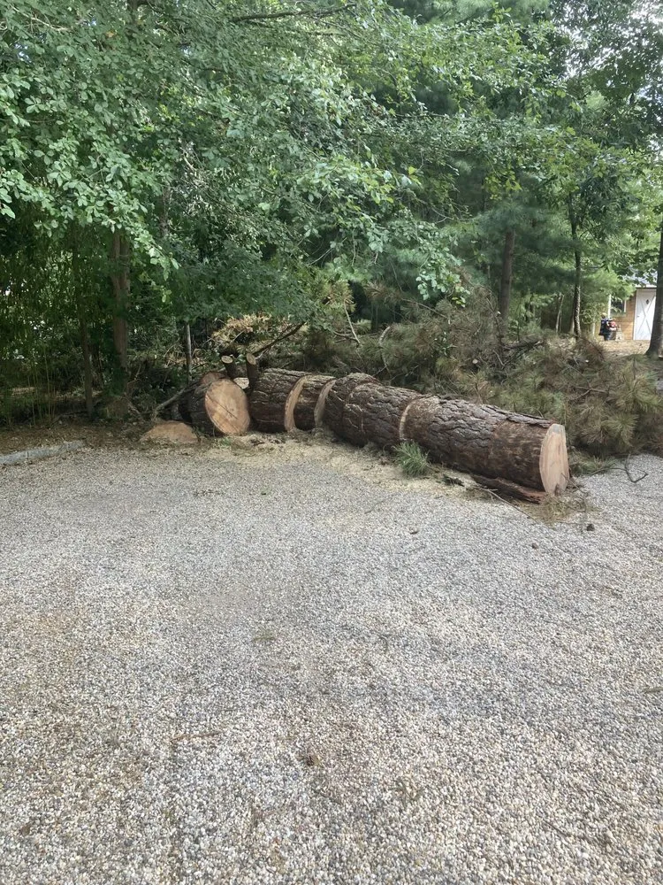 Reliable lawn care service near you across Mastic, NY - Axel Tree Trimming