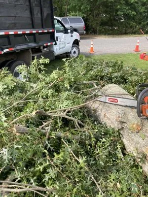 Axel Tree Trimming Logo