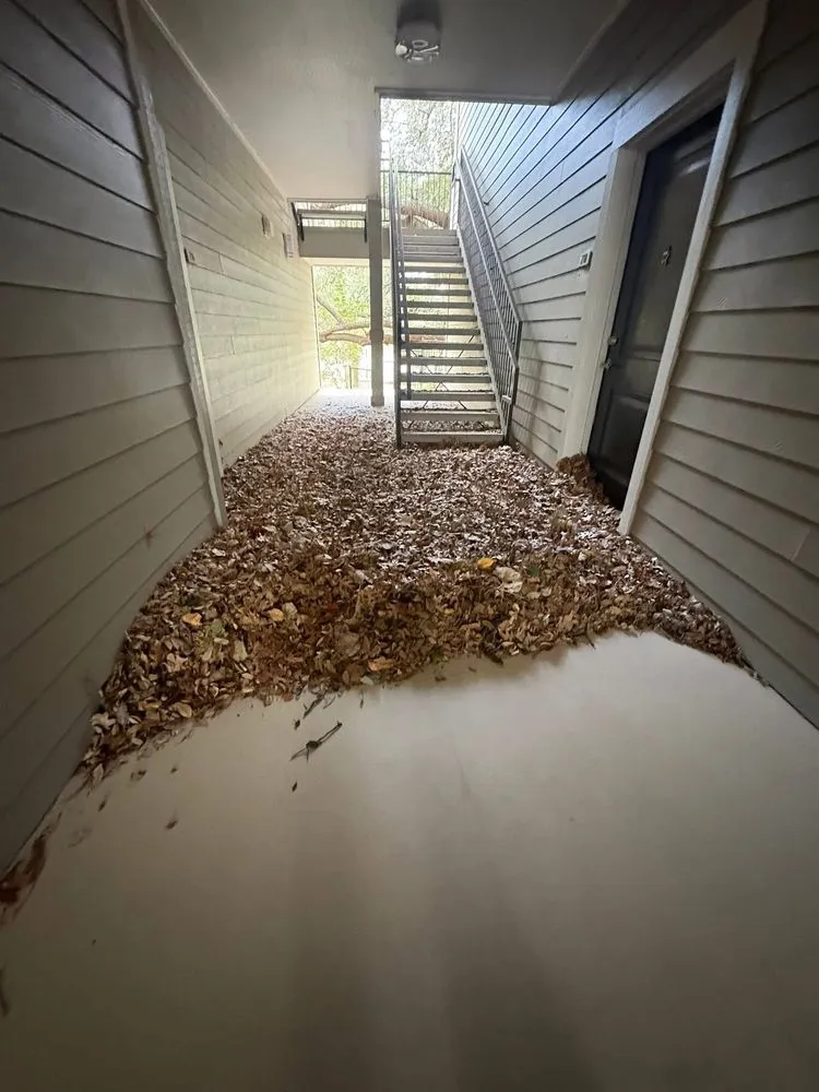 Trusted landscaping services in Del Valle, TX by Axel’s Landscape & Junk Removal