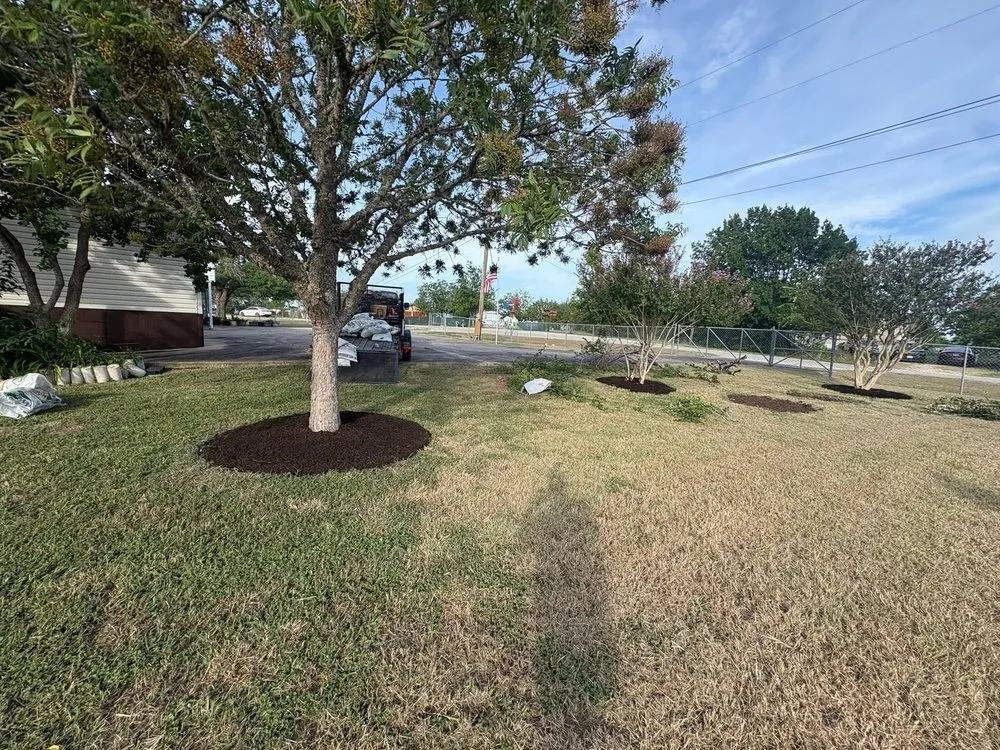 Trusted landscaping services near you in Del Valle, TX by Axel’s Landscape & Junk Removal