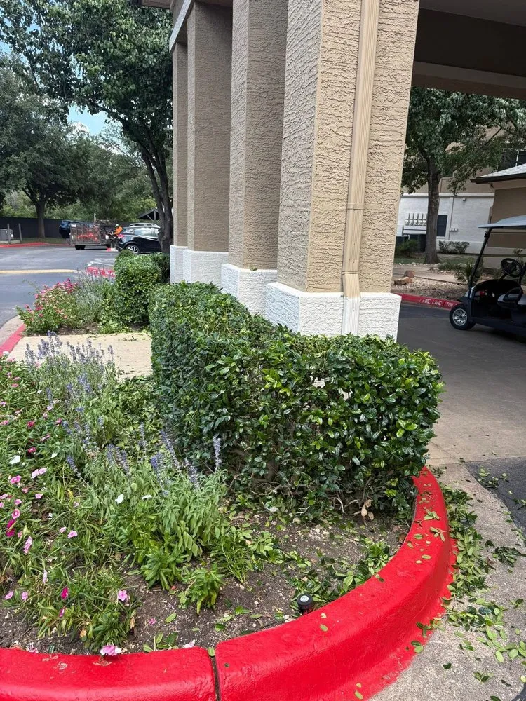 Top-rated yard maintenance for year-round maintenance across Del Valle, TX - Axel’s Landscape & Junk Removal