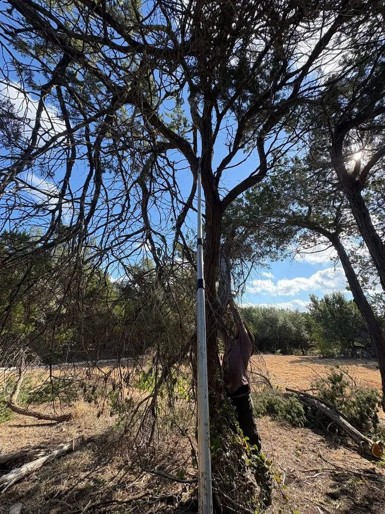 Custom landscaping services experts serving Del Valle, TX - Axel’s Landscape & Junk Removal