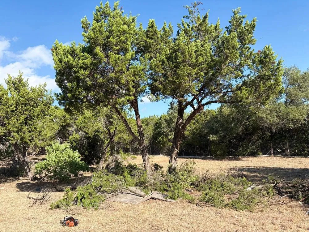 Reliable outdoor landscaping in Del Valle, TX - Axel’s Landscape & Junk Removal