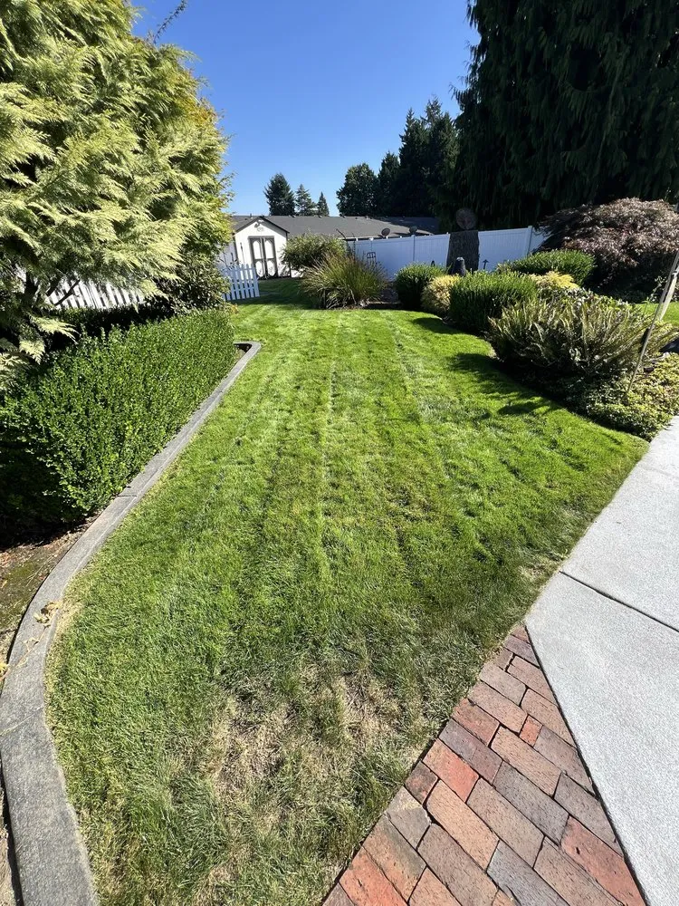 Top-rated landscape design near you across Auburn, WA - Axel’s Lawncare