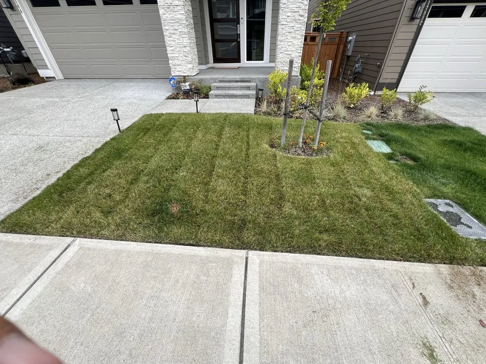 Professional lawn mowing service with custom design across Auburn, WA - Axel’s Lawncare