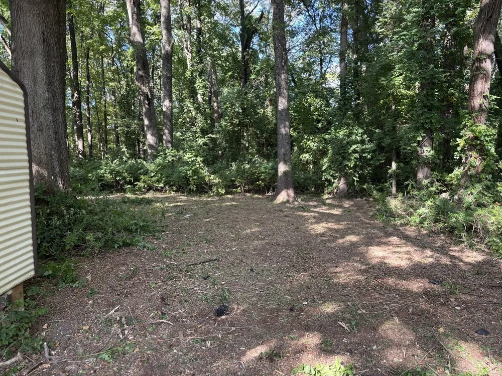 Reliable landscaping services experts serving Burlington, NC - Axes N Action